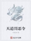 天道罚恶令